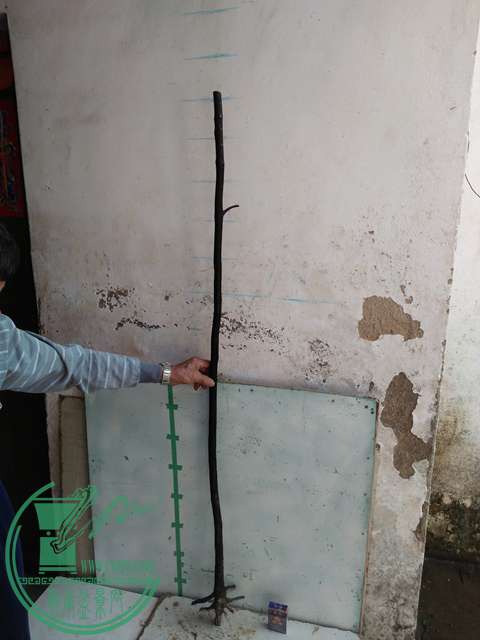 IMG20170305144437.jpg