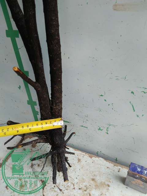 IMG20170305144615.jpg