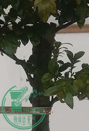 20170306_123657_mh1488799994931.jpg