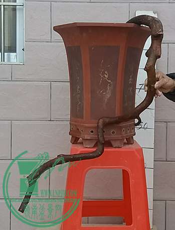 20170306_180847_mh1488798740146.jpg