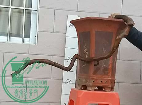 20170306_183121_mh1488798874023.jpg