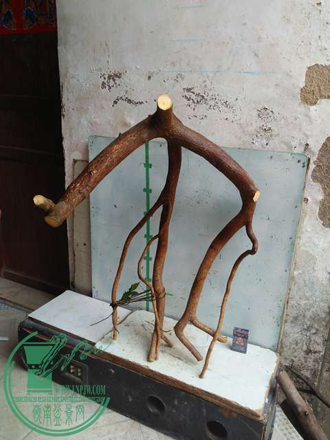 IMG20170306112909.jpg