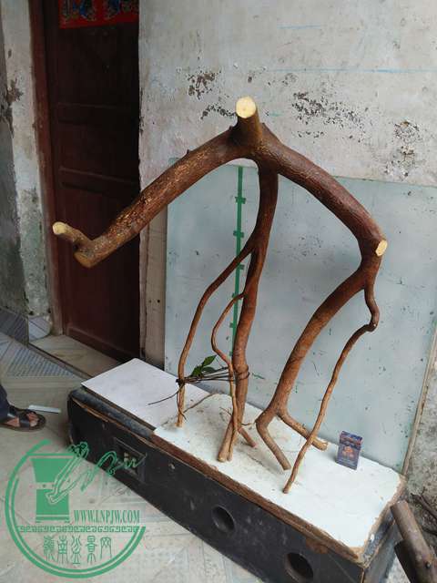 IMG20170306112914.jpg