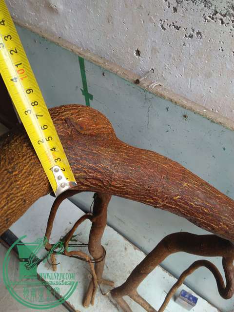 IMG20170306112923.jpg