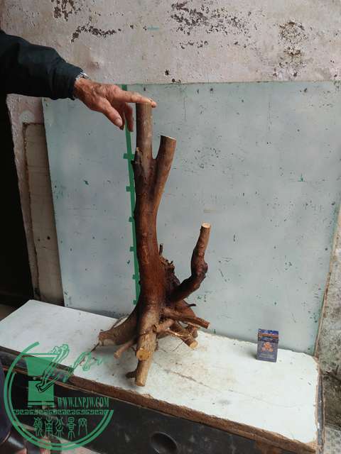 IMG20170306113054.jpg