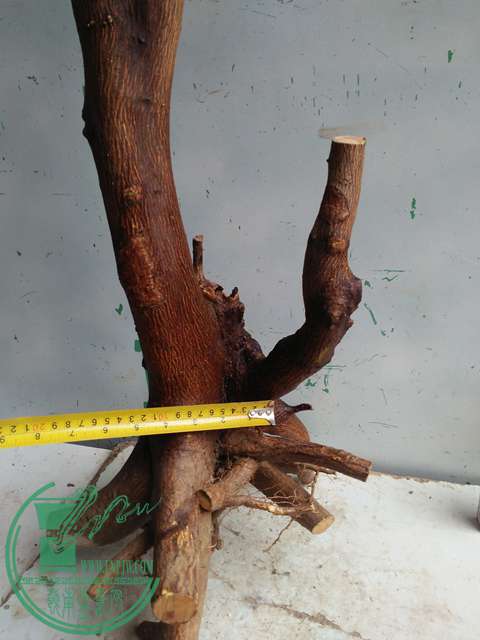 IMG20170306113102.jpg