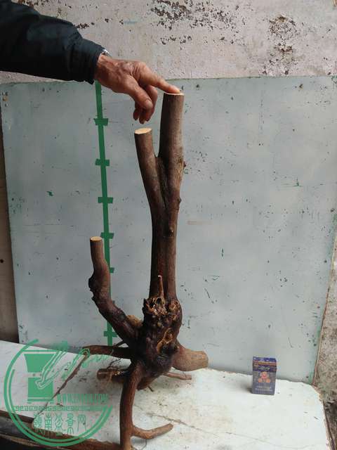 IMG20170306113114.jpg