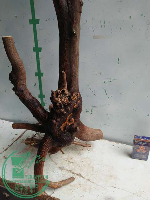 IMG20170306113119.jpg