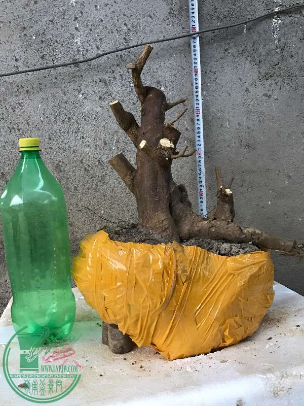 866517
