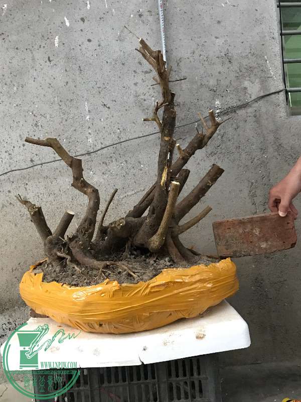 866522