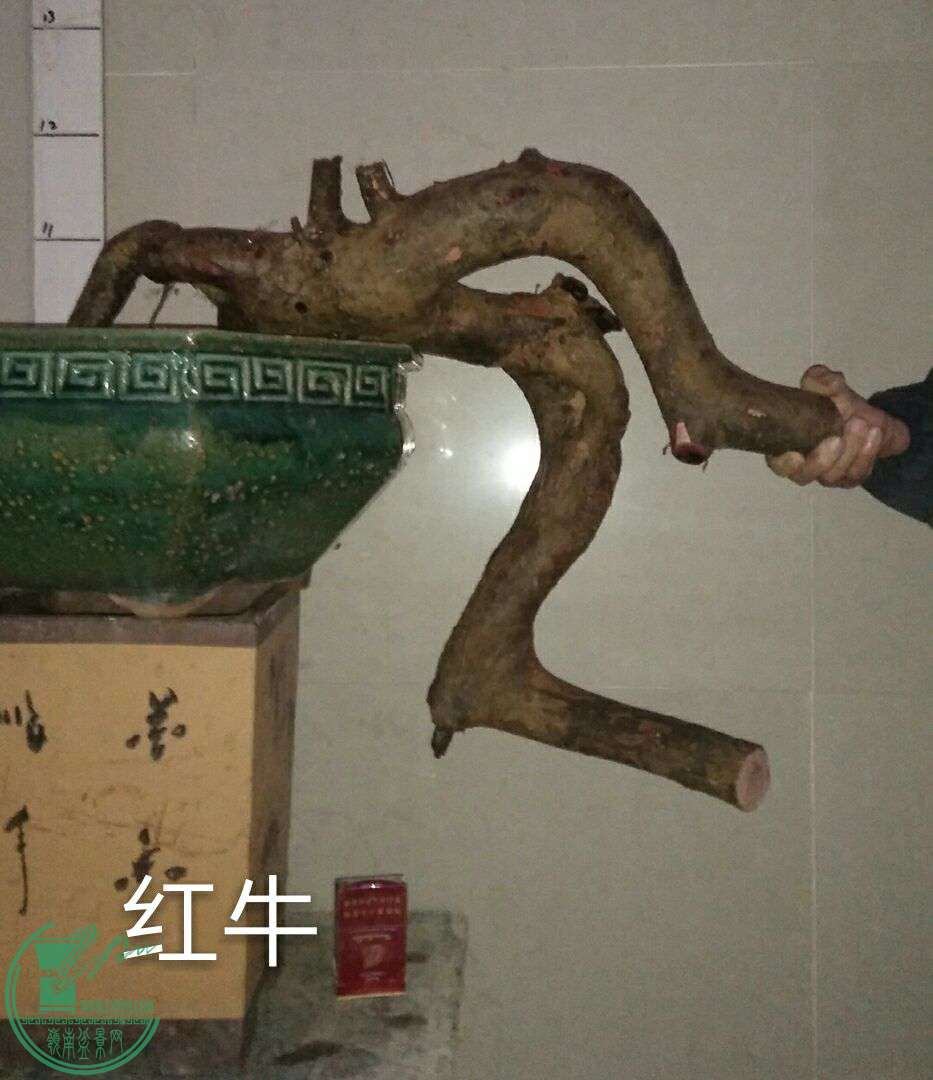 QQͼƬ20170306224332.jpg