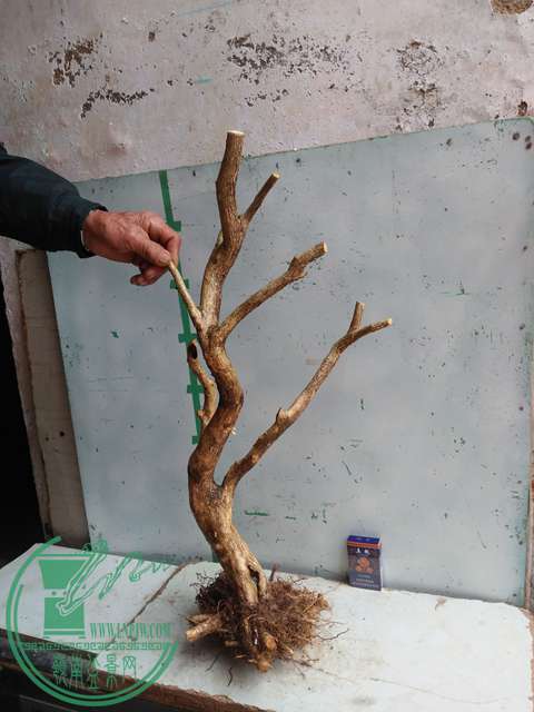 IMG20170307125742.jpg