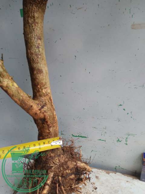 IMG20170307130355.jpg