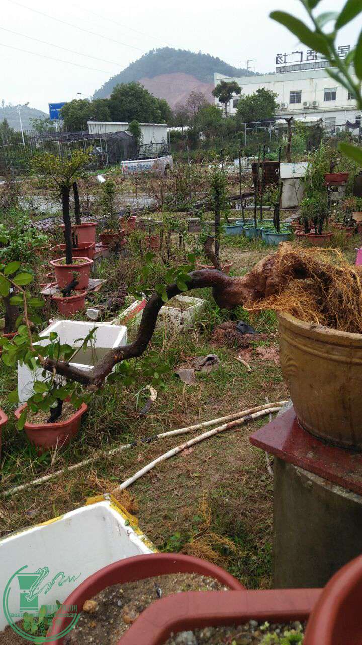 QQͼƬ20170308200757.jpg