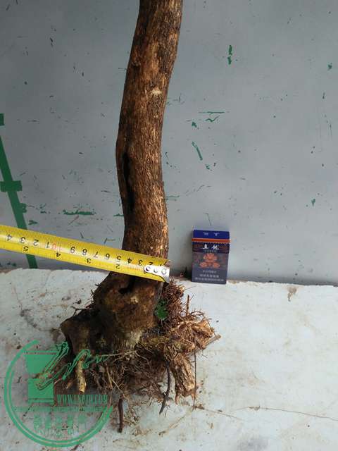 IMG20170307130217.jpg