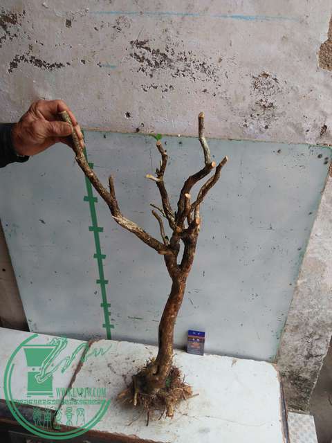 IMG20170307130221.jpg