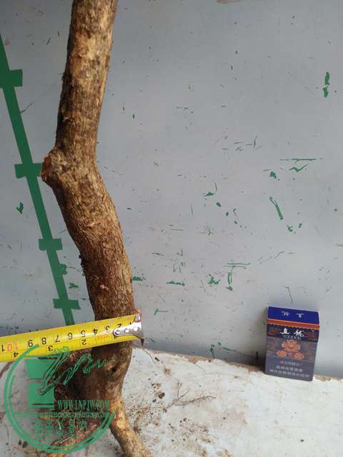 IMG20170307130445.jpg