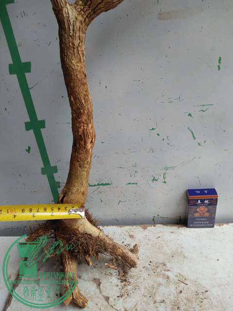IMG20170307130617.jpg