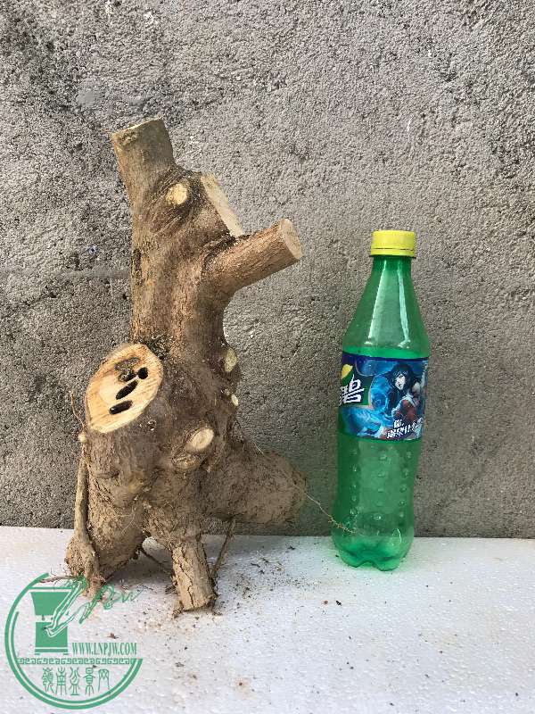 867636