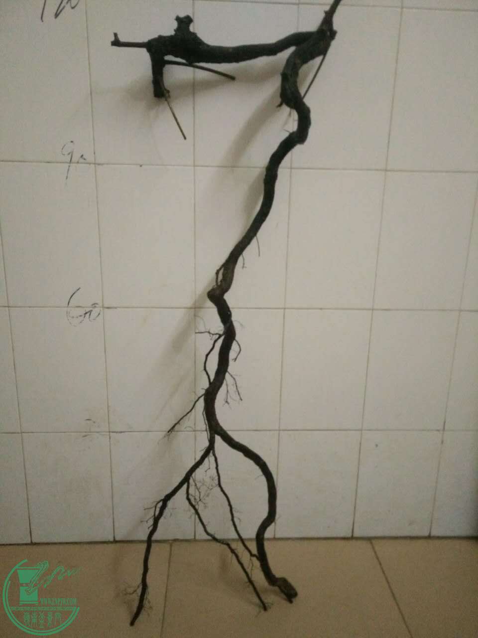 389899500716485293.jpg
