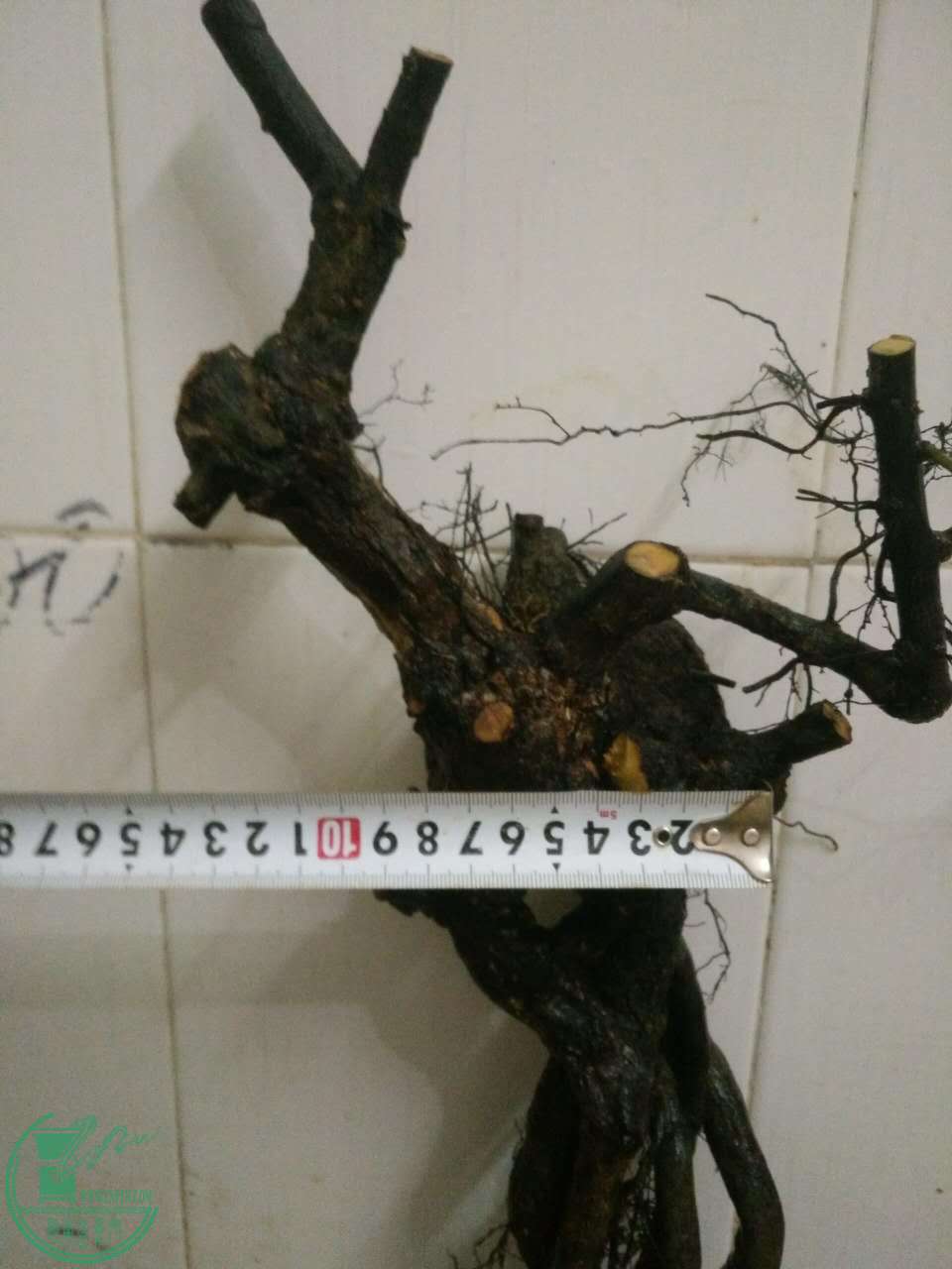 179399823351593465.jpg