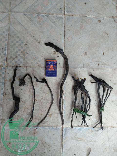 IMG20170310095125.jpg