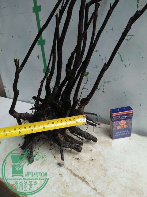 IMG20170310095649.jpg