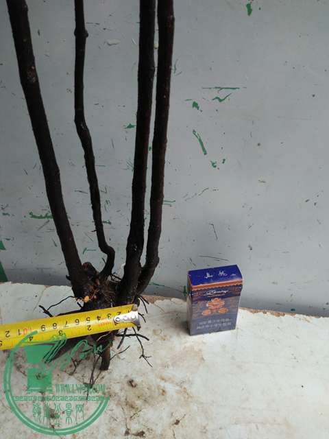 IMG20170310100851.jpg