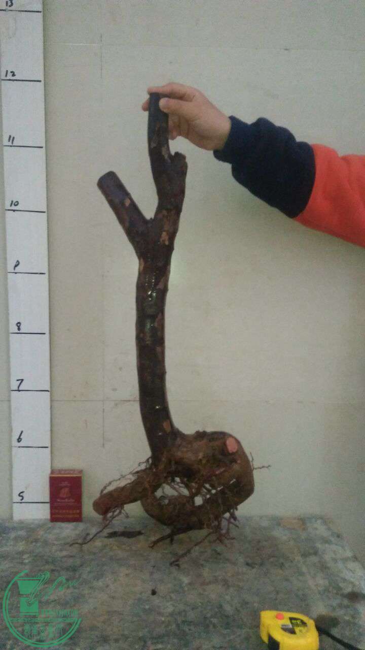 QQͼƬ20170311193811.jpg