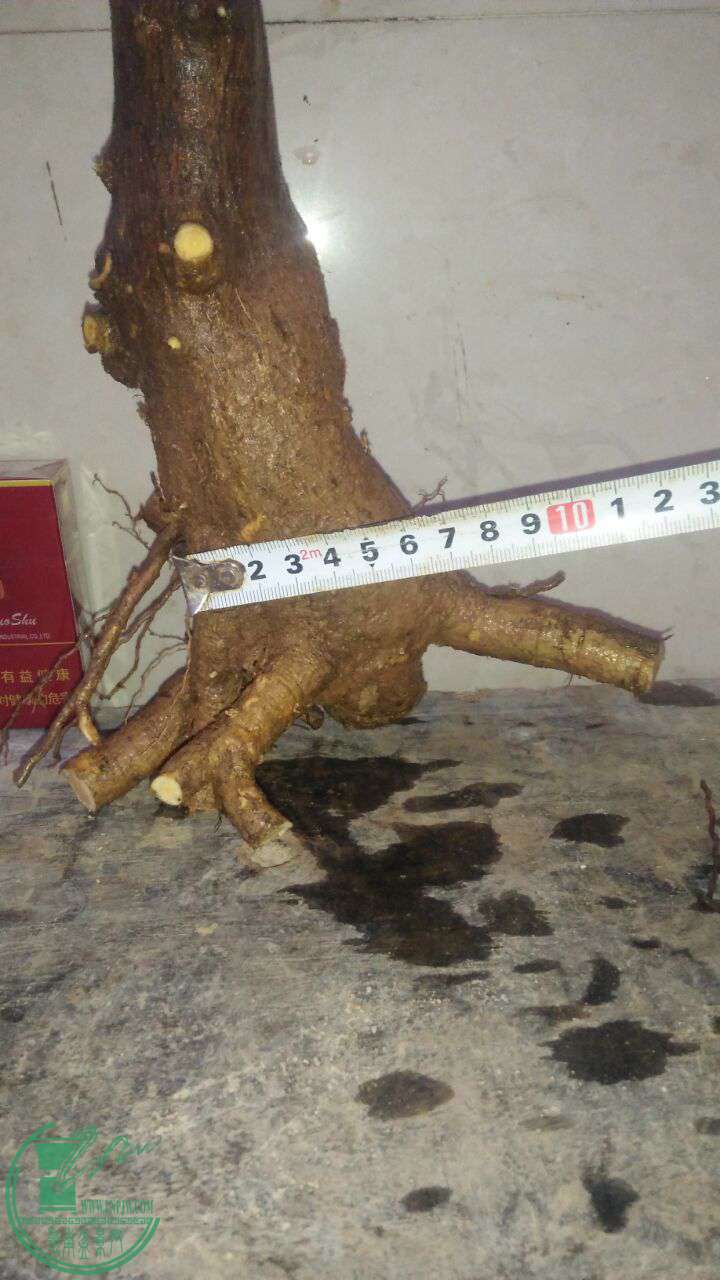 QQͼƬ20170311194031.jpg