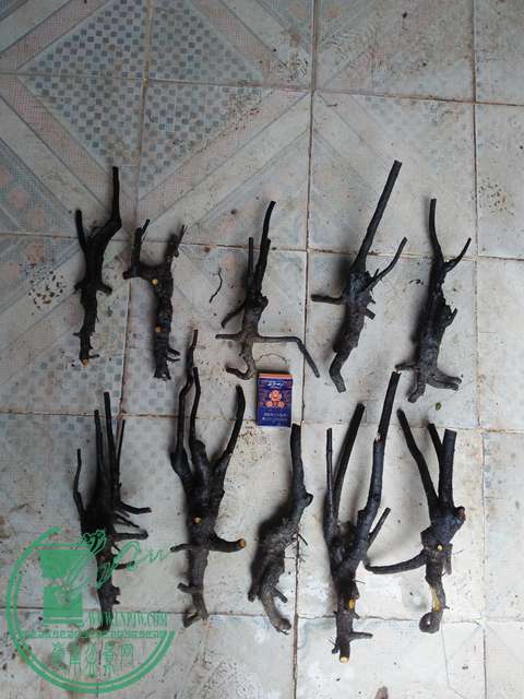 IMG20170311115949.jpg