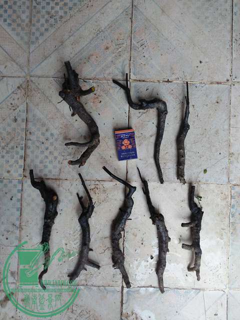 IMG20170311120216.jpg