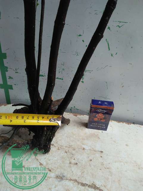 IMG20170311121024.jpg