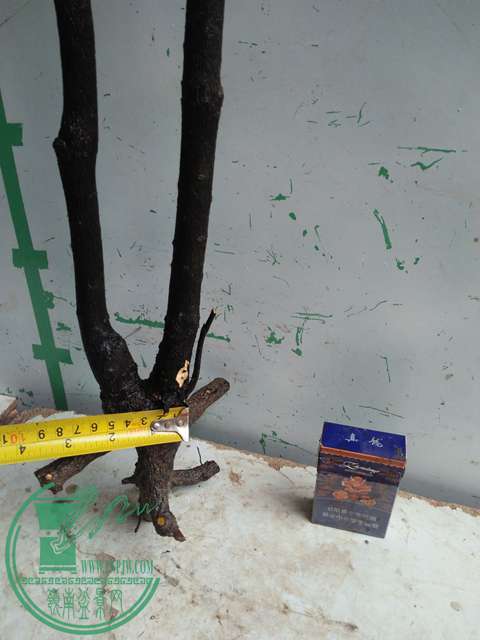 IMG20170311121106.jpg