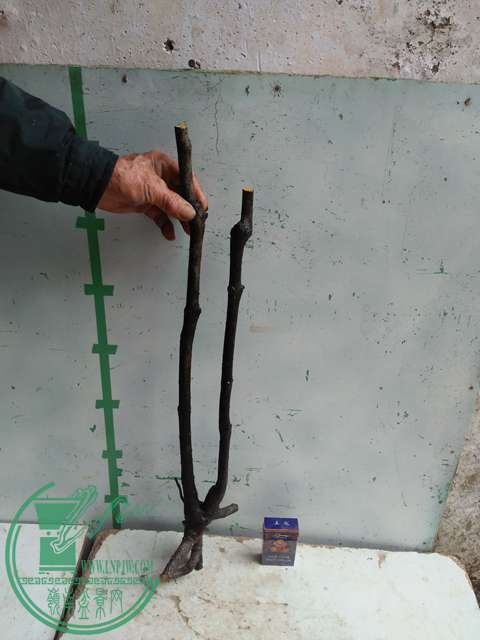IMG20170311121112.jpg