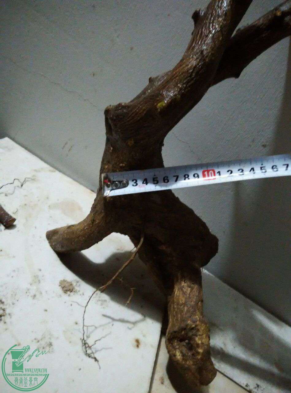 QQͼƬ20170311232211.jpg
