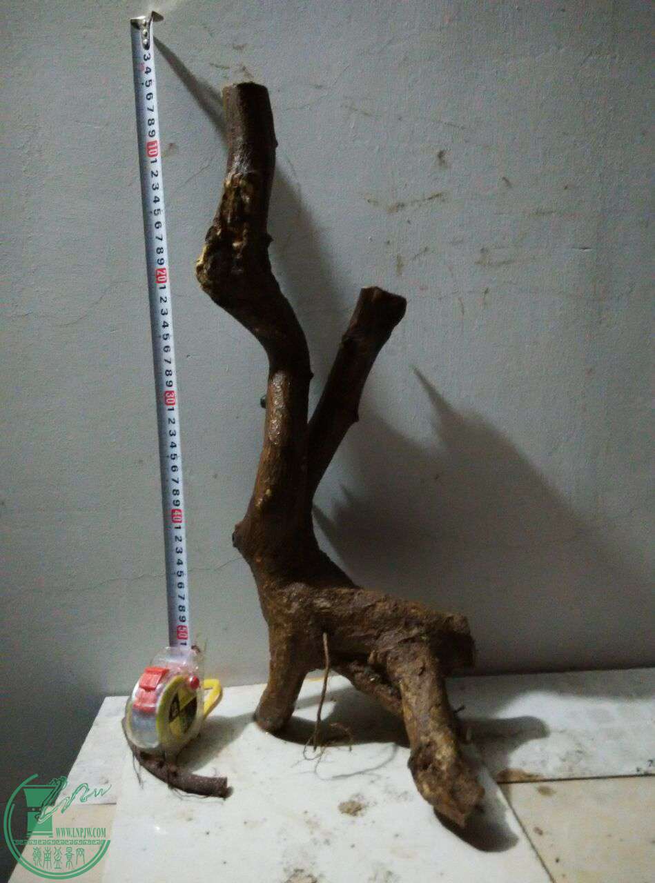 QQͼƬ20170311232215.jpg