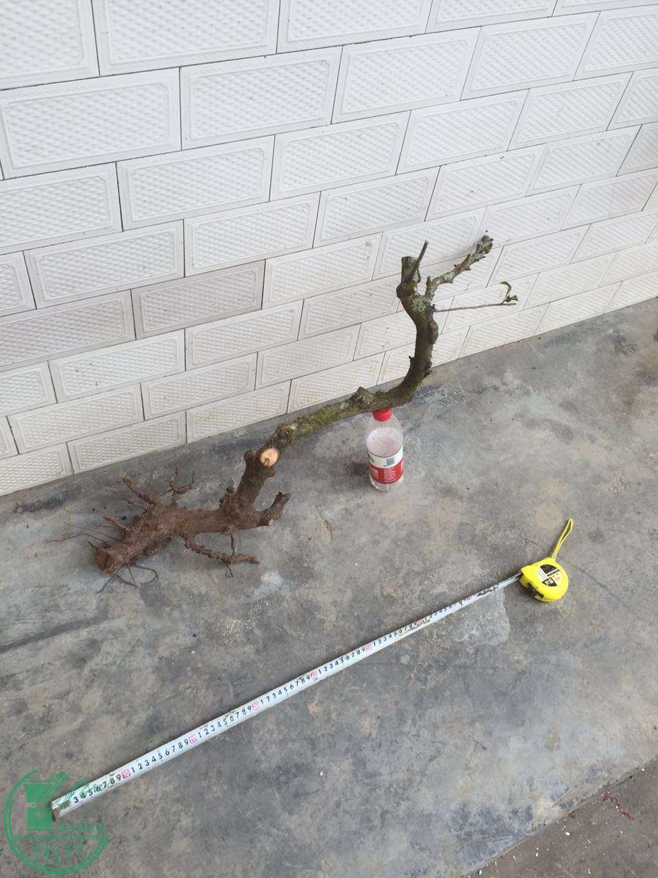 84.jpg