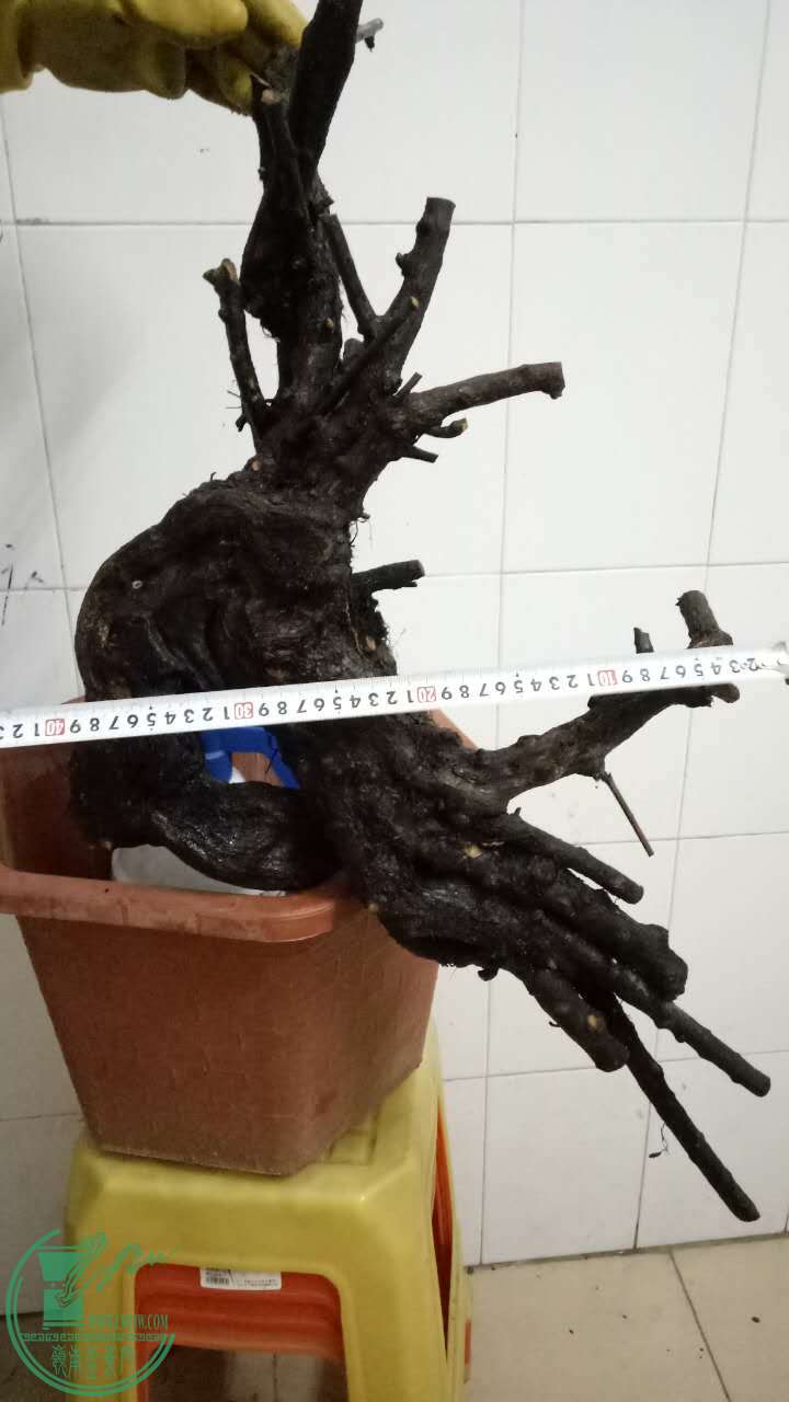 85460818939348115.jpg