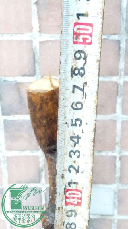 868774