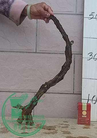 20170313_175208_mh1489402091576.jpg