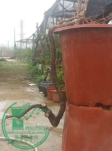 20170312_095923_mh1489402503271.jpg