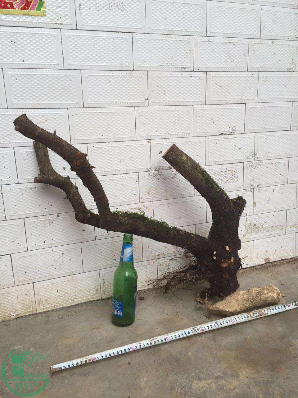 42.jpg