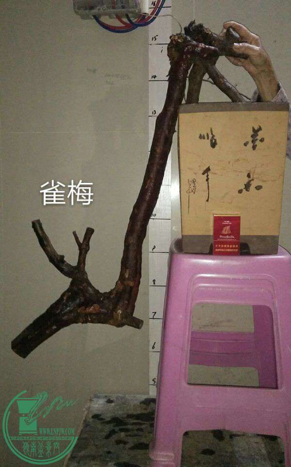 QQͼƬ20170313221527.jpg