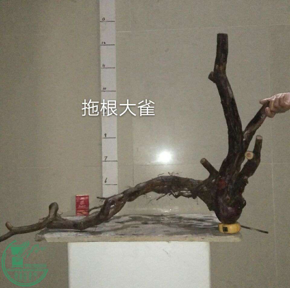 QQͼƬ20170313221512.jpg