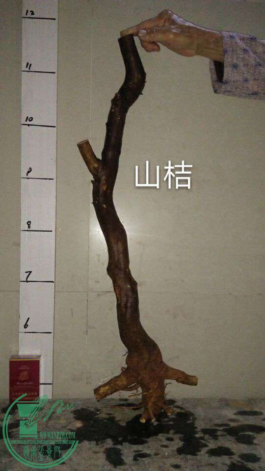 QQͼƬ20170313221505.jpg