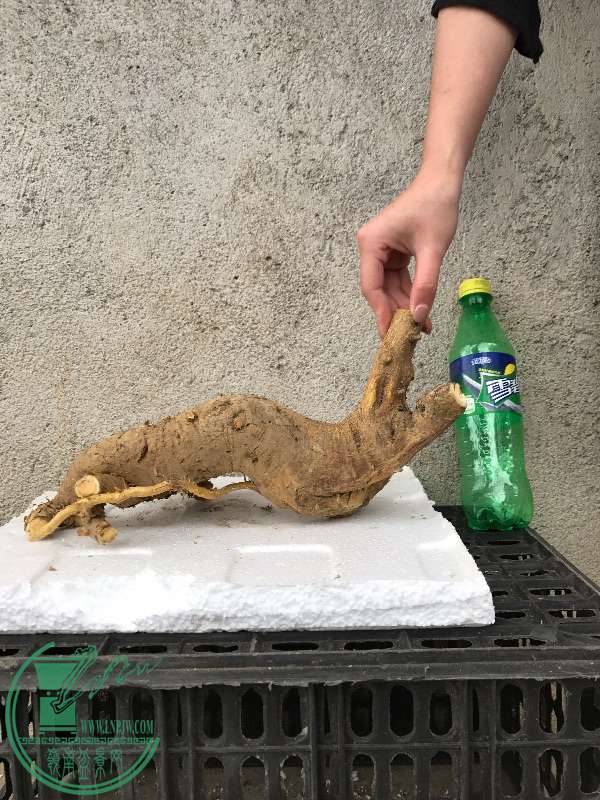 869234
