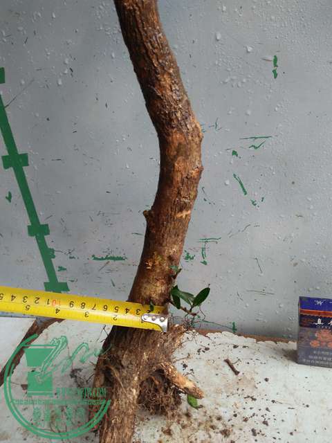 IMG20170314132431.jpg