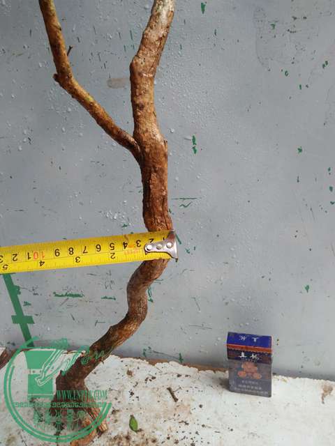 IMG20170314132504.jpg