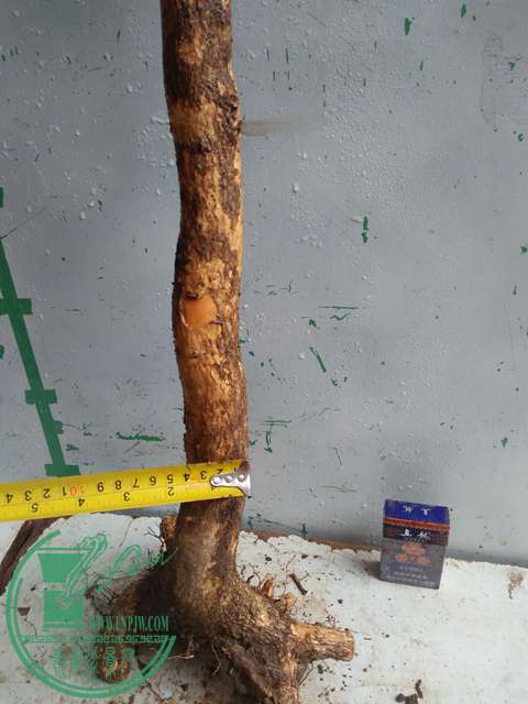 IMG20170314132705.jpg